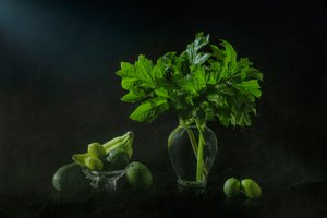 Frodig botanisk stilleben af Lydia Jacobs