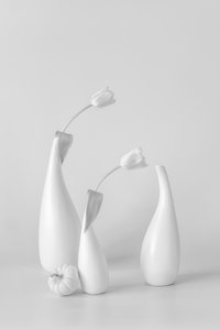 Minimalistiske hvide tulipaner af Lydia Jacobs