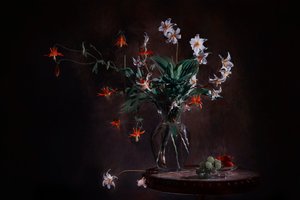 Stemningsfuldt blomsterstilleben af Lydia Jacobs