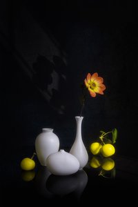 Stemningsfuld blomst og frugt af Lydia Jacobs