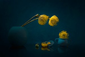 Stemningsfulde gule blomster