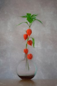 Vase med orange lanterner af Lydia Jacobs