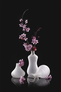 Lyserøde blomster, matterede vaser af Lydia Jacobs