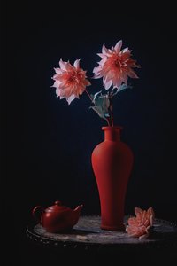 Lyserøde georginer, rød vase af Lydia Jacobs