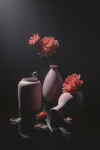Stille pink blomsteropstilling af Lydia Jacobs