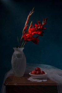Stilleben med røde gladiolus af Lydia Jacobs