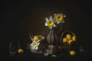 Forårspåskeliljer og citroner af Lydia Jacobs