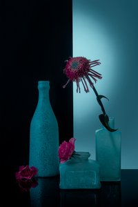 Blågrønne flasker med blomster af Lydia Jacobs