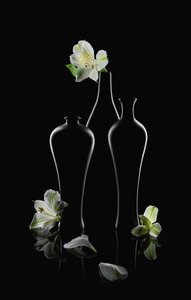 Hvide blomster, mørke vaser af Lydia Jacobs