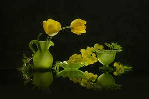 Gule tulipaner, grønne druer af Lydia Jacobs