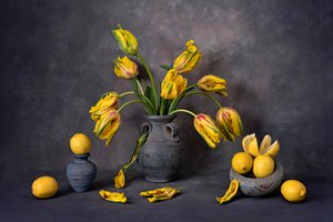 Gule tulipaner og citroner af Lydia Jacobs