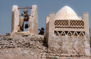 I ørkenen, et oasevandingssted med en brønd ved Husn Al-Muttahar syd for Tarin, Yemen.