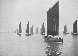 Sildebåde ud for Tyne, c1896
