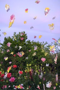 Abstraherede blomster, 2019 (akrylmaling på arkivbestandigt pigmentprint)