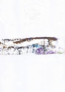 Abstract Horizon-blanding af Maira Ribena