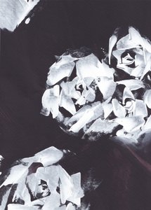 Abstrakt hvid blomsterprint af Maira Ribena