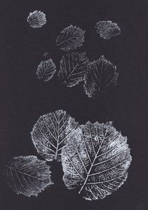 Botaniske bladmønstre