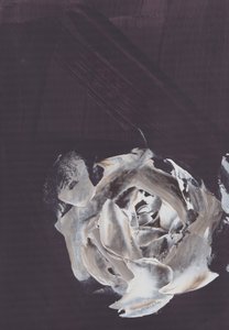 Mørk abstrakt rose