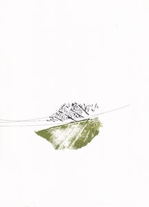 Grønne blade og nøgne grene af Maira Ribena