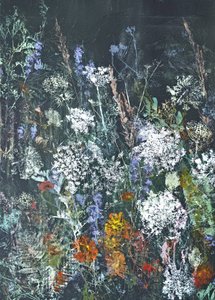 Vilde blomsters blomstring ved midnat