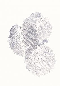 Minimalistiske bladteksturer af Maira Ribena