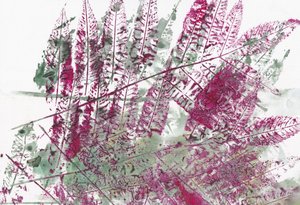 Farverige botaniske bregner af Maira Ribena