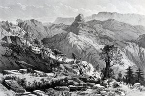 På marchen nær Dongolo, indgraveret af James Ferguson, 1868 af Major A.G.F. Hogg