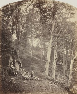 En vej gennem en skov, ca. 1860. af Major Francis Gresley