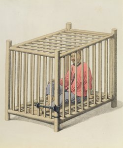 A Malefactor in a Cage, plade 15 fra 