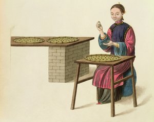 A Woman Preparing Tea, tallerken 21 fra 