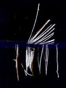 Due, 2018 (collage) af Marco Campedelli
