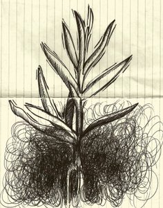 Plant, 2014 (blæk på papir)