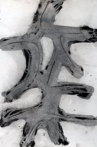Ramas, 2014 (blæk på papir) af Marco Campedelli