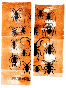 Tørklæder, 2023 (blandede medier) af Marco Campedelli