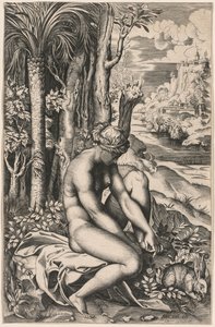 Venus såret af en rosentorn, ca. 1516. af Marco Dente