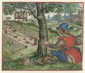 Fuglekiggerens fabel