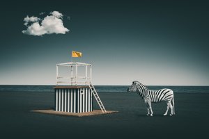 Surrealistisk strandzebra