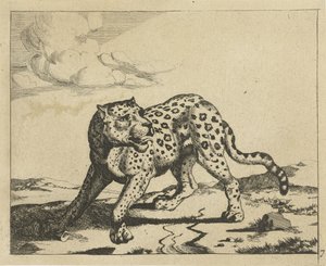 Leopard, stående til venstre, hovedet til højre Leoparder (serietitel) af Marcus de Bye