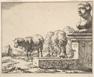 Får, fra et sæt af 16 plader, 1664. af Marcus de Bye