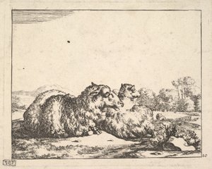 Får, fra et sæt af 16 plader, 1664. af Marcus de Bye