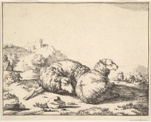 Får, fra et sæt af 16 plader, 1664. af Marcus de Bye