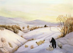Får på højderyggen af Margaret Loxton