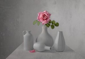 Stilleben med en delikat lyserød rose af Margareth Perfoncio