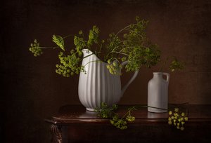 Stilleben med dildblomster af Margareth Perfoncio