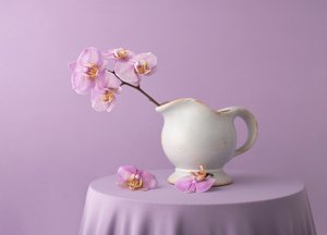 Elegante lavendelorkideer