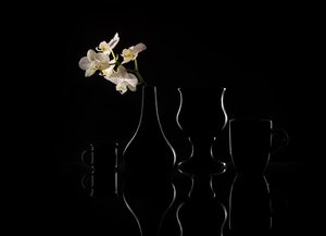Elegante orkide-silhuetter af Margareth Perfoncio