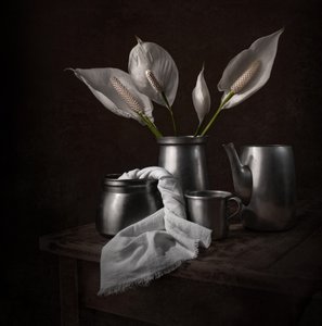 Elegante fredsliljer af Margareth Perfoncio