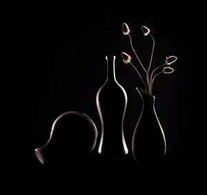Elegante stillebenssilhuetter