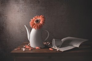Orange tusindfryd – ødelagt tekande af Margareth Perfoncio