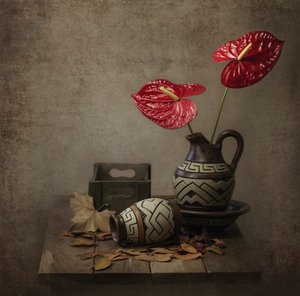 Rustikt anthurium-stilleben